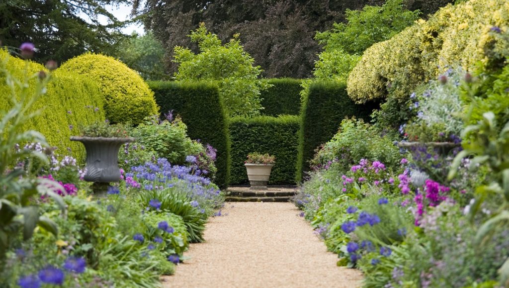 When to Cut Back Shrubs in the Garden