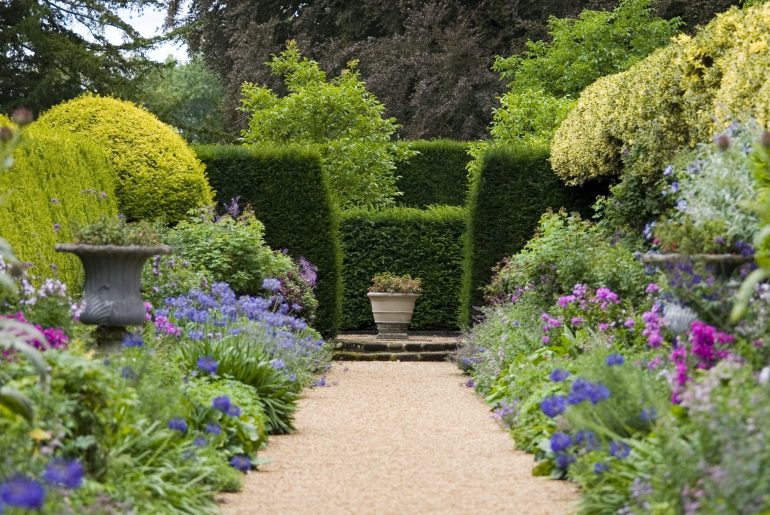 When to Cut Back Shrubs in the Garden