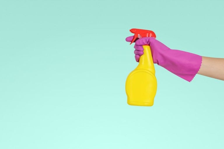 Spotless Spaces: Elevating Your Environment with Professional Cleaning Services