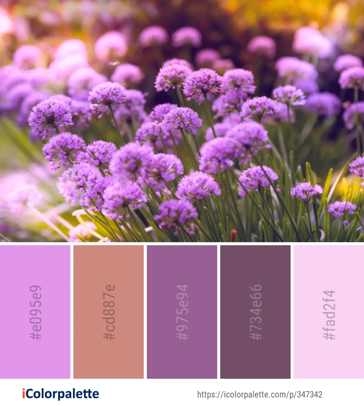 Creating a Color Palette