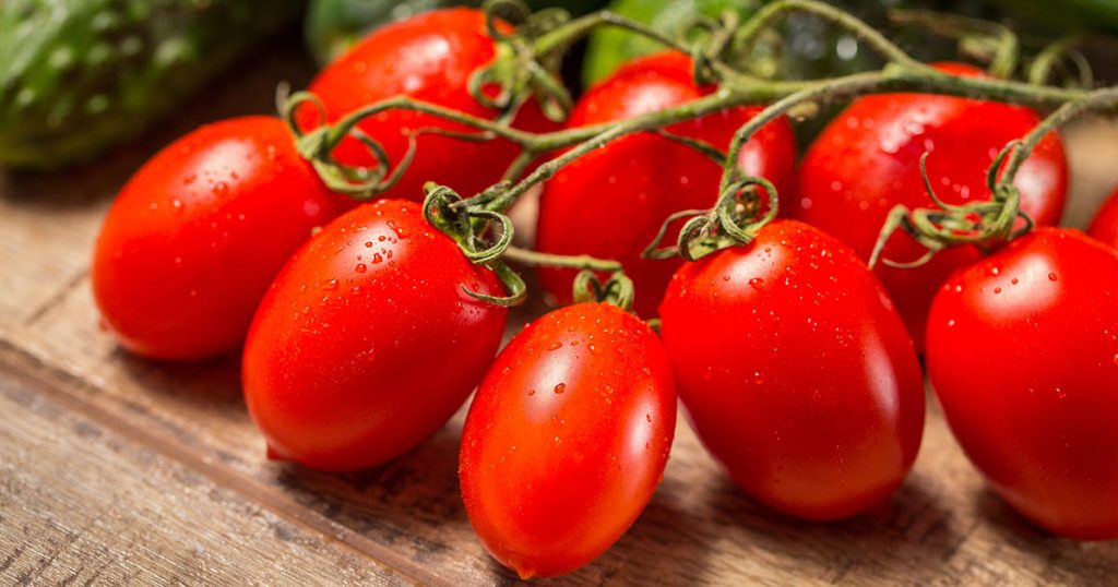 About Roma Tomatoes