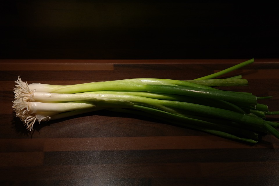 About The Leek Vegetable