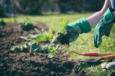 10 Quick Fixes To Revitalize Your Garden