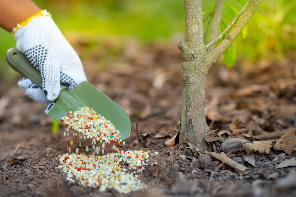 Application of Fertilizers