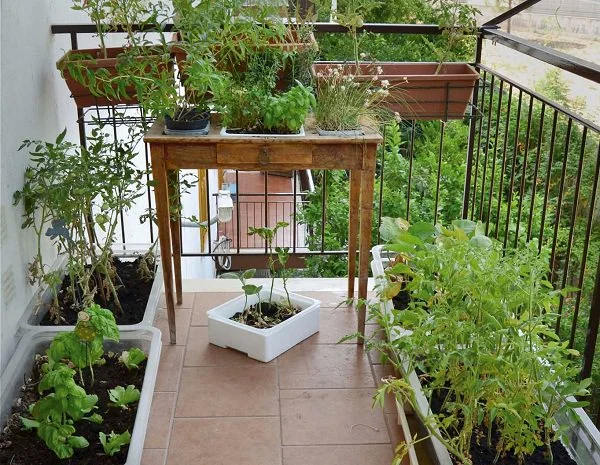 Balcony Herb Garden