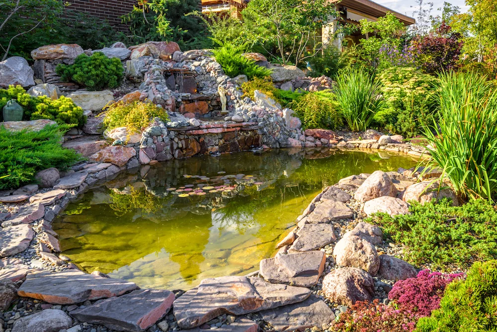 Benefits of Installing a Backyard Water Feature
