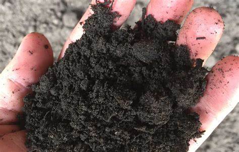 Benefits of Loam-Based Composts