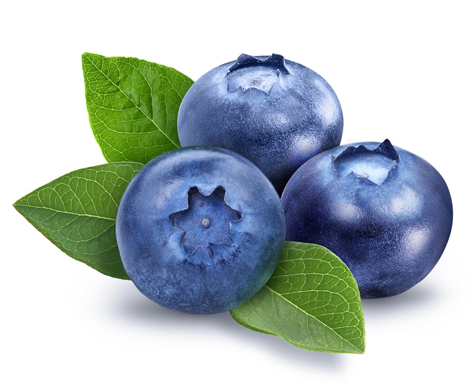 Blueberry