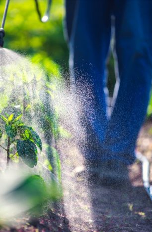 How to Effectively Use Bleach as a Weed Killer in Your Garden