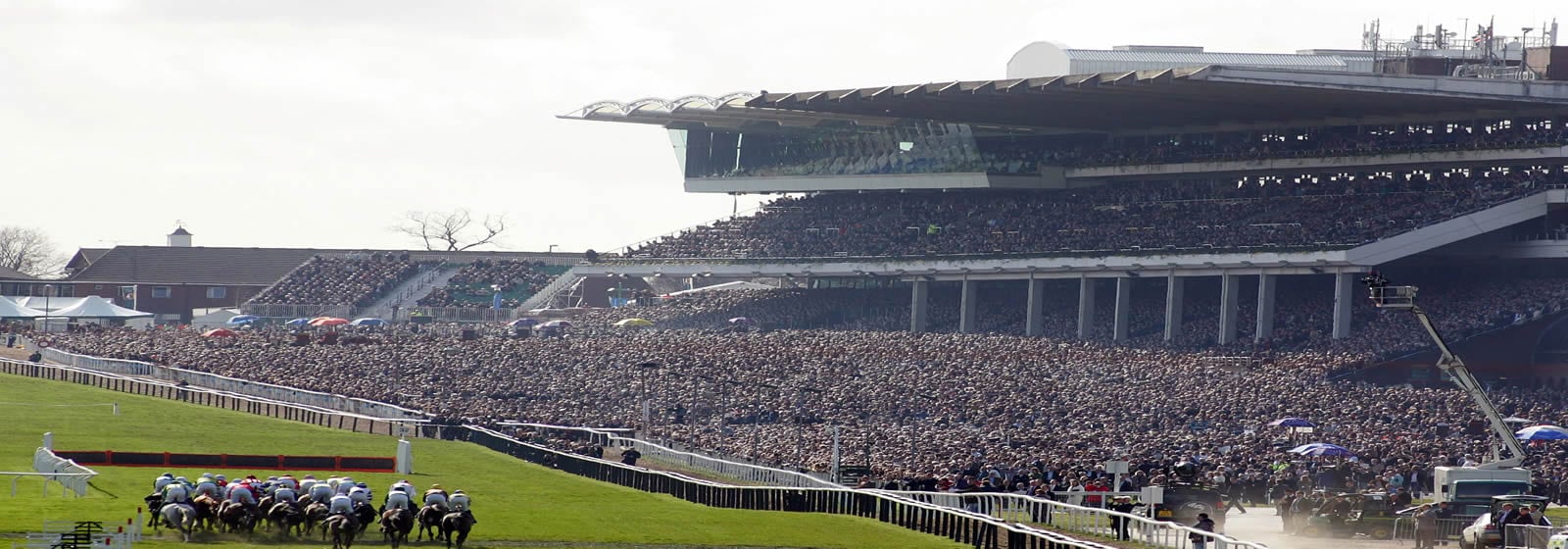 What is the Cheltenham Festival?