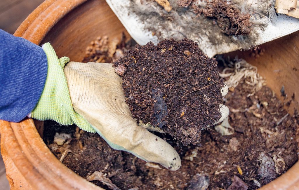 Choose the Right Compost