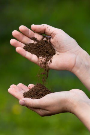 Choose the Right Soil