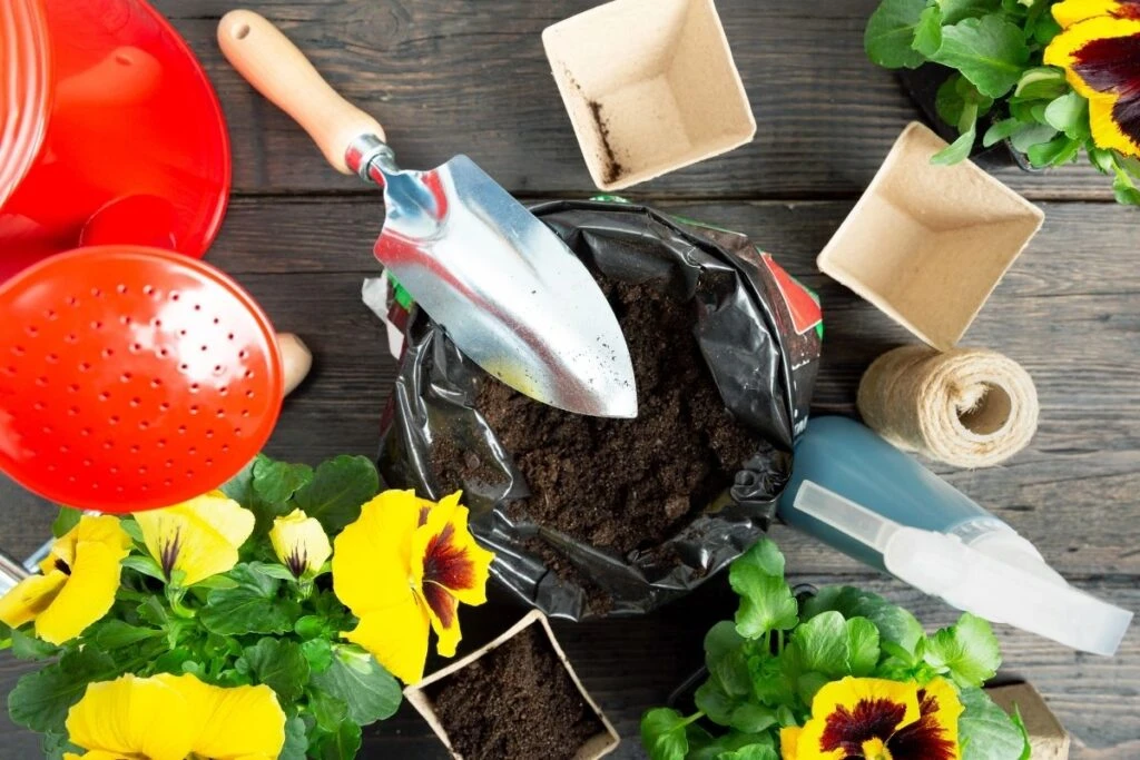 Choosing the Right Soil for Pansies.jpeg