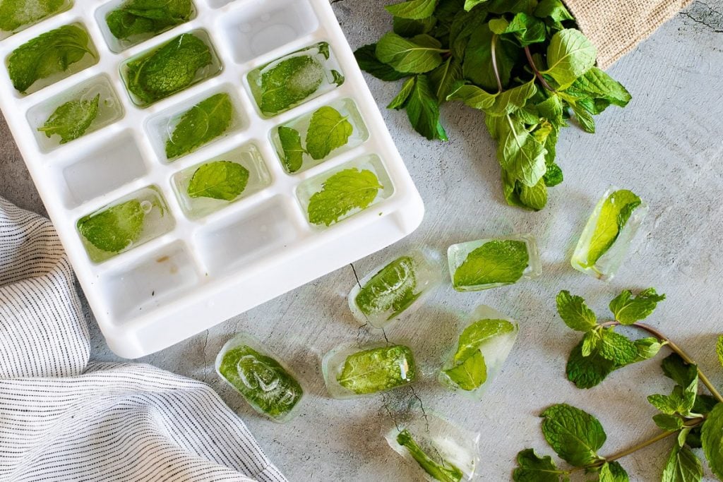 Cocktails and Mint Cubes