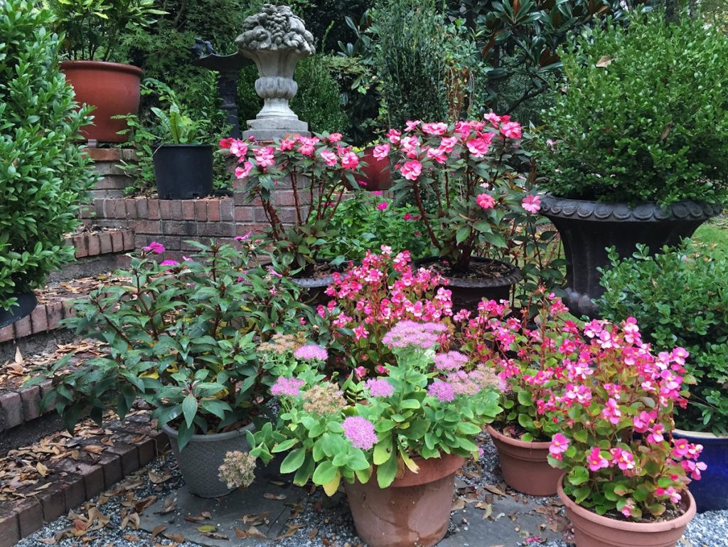 18 Beautiful Container Plants Perfect for Shaded Areas TheArches