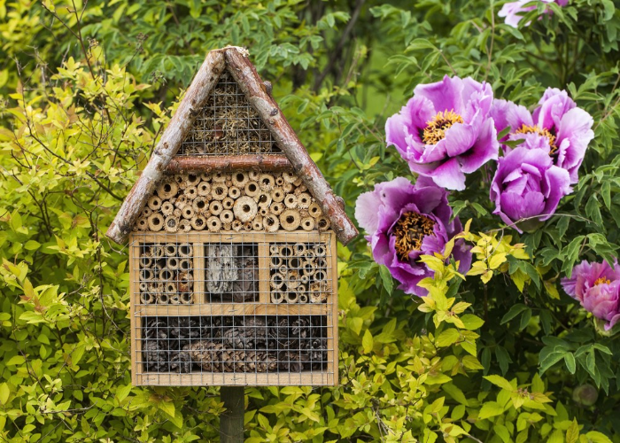 Create New Habitats for The Wildlife in Your Garden