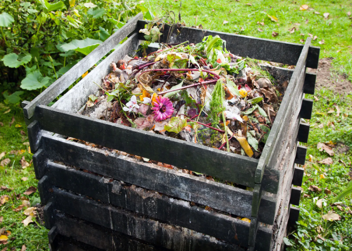 Create Your Own Compost.jpg