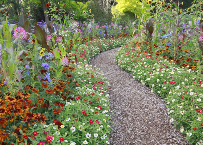 Create a Path Surrounded by Plants
