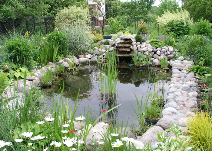 Creating a Small Pond