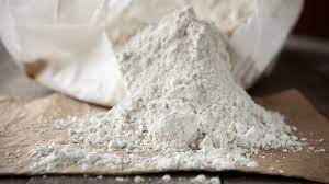 Diatomaceous Earth