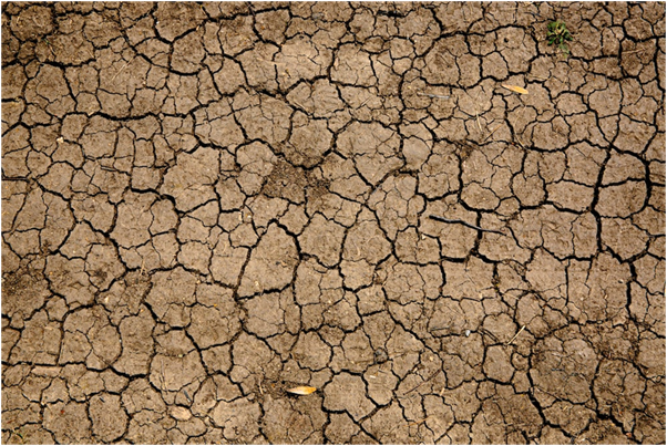 Dry Soil