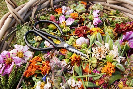 Explore the Process Know-How of Deadheading