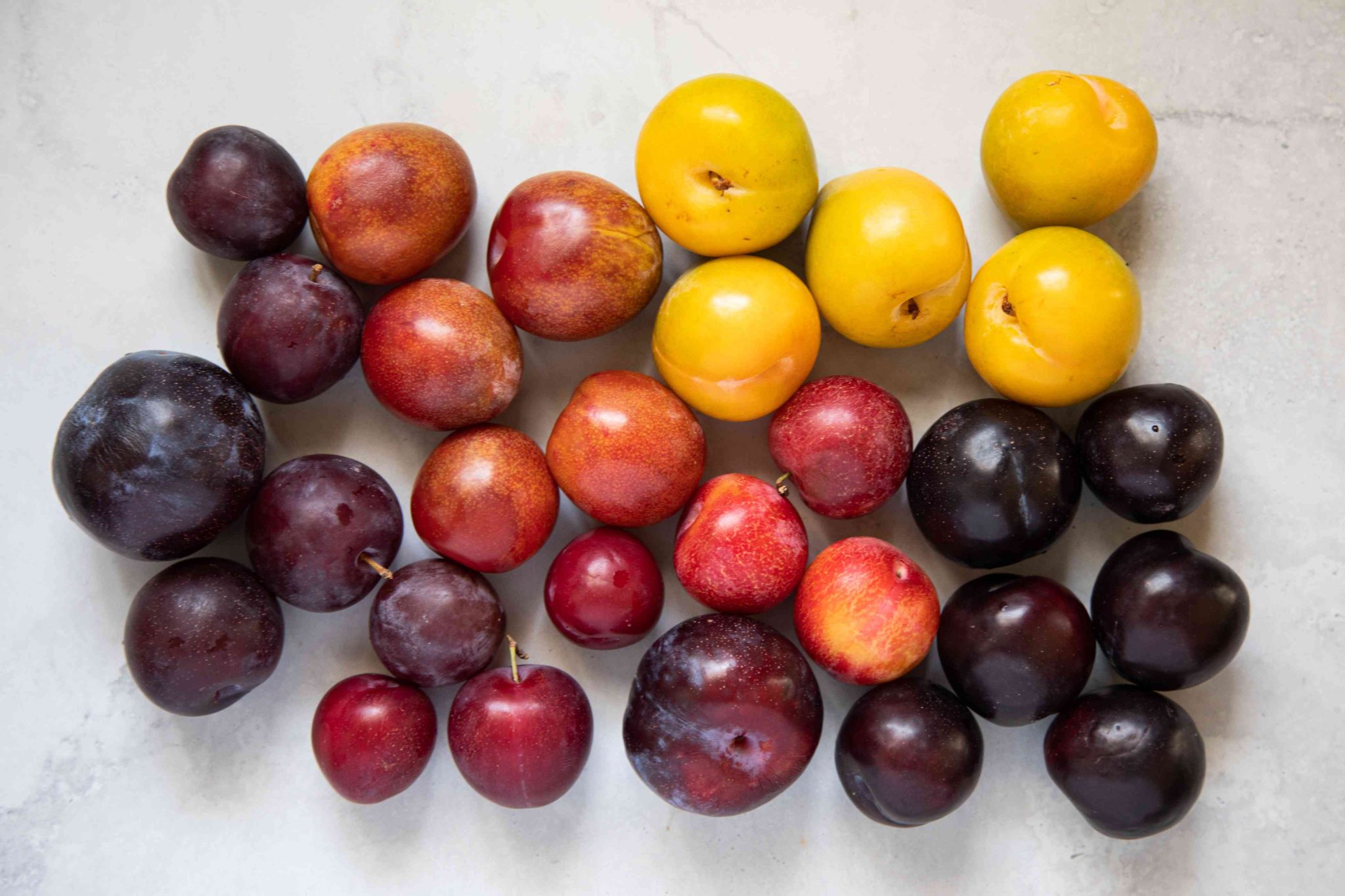 What is the Sweetest Plum Variety? The Arches