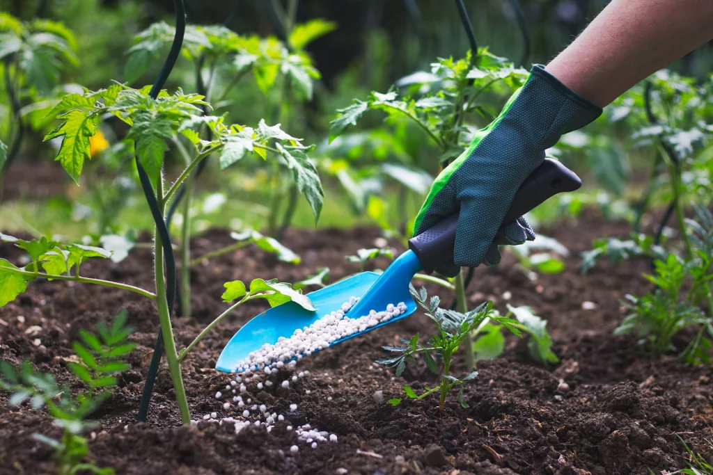 Fertilizing and Nourishing Your Plants