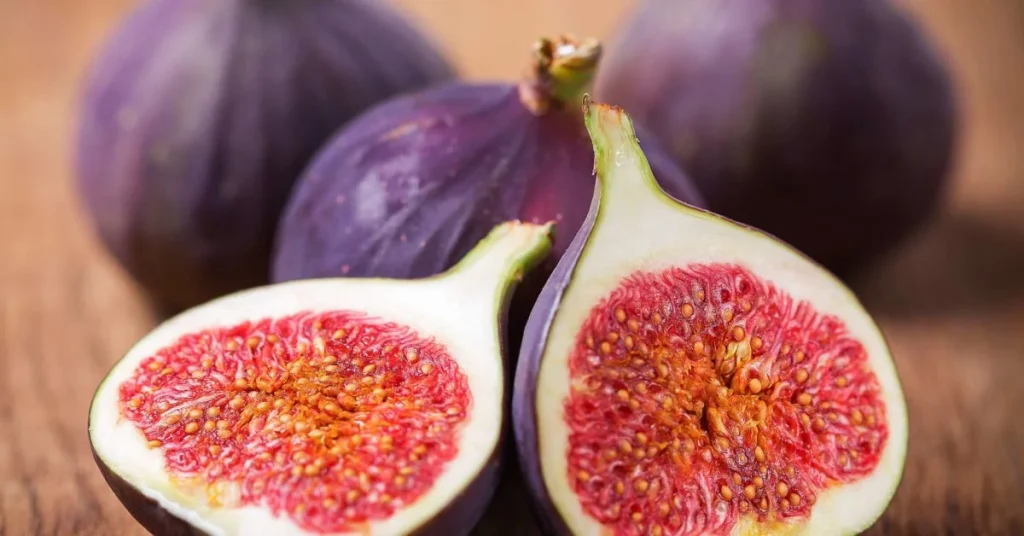 Fig