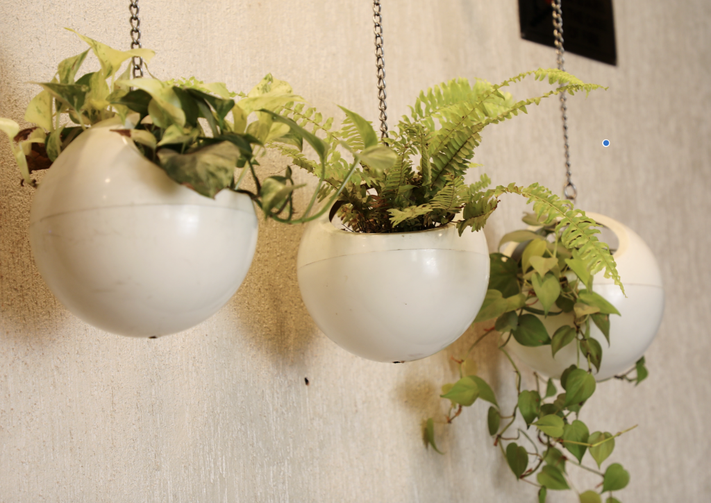 Floating Garden with Ceramic Planters