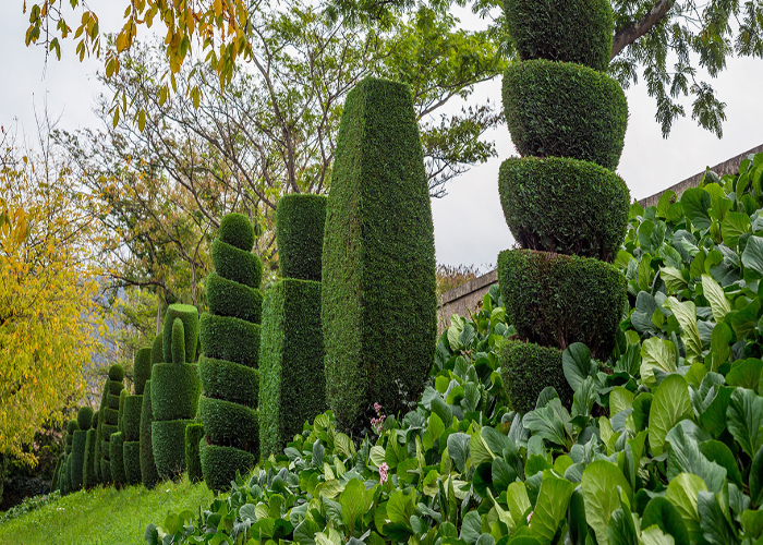 Formal Hedges