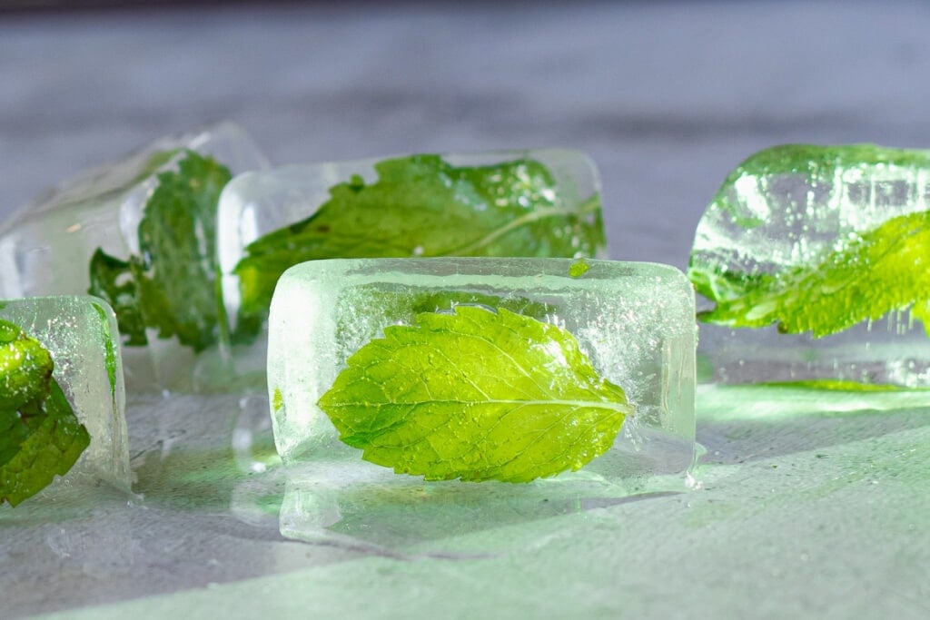 Freezing Mint