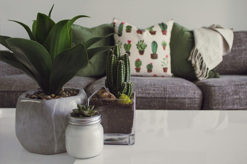 From Garden to Living Room: How Botanical Elements Influence Interior Design