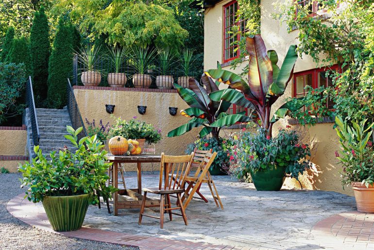 Garden Renovation 101: Tips for a Stunning Outdoor Makeover