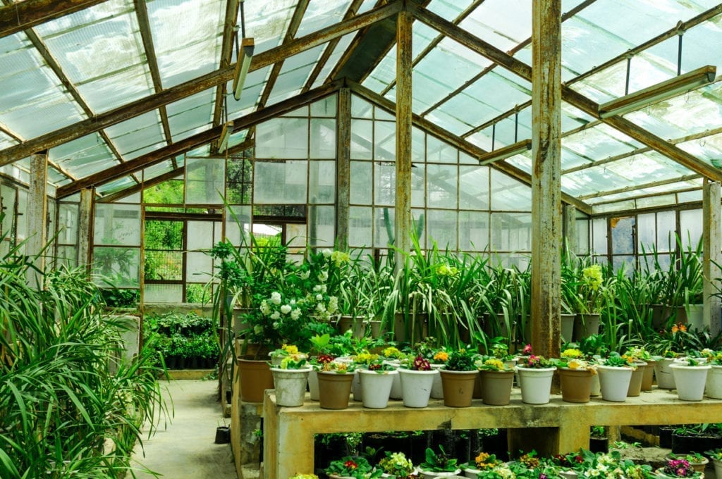 Greenhouse