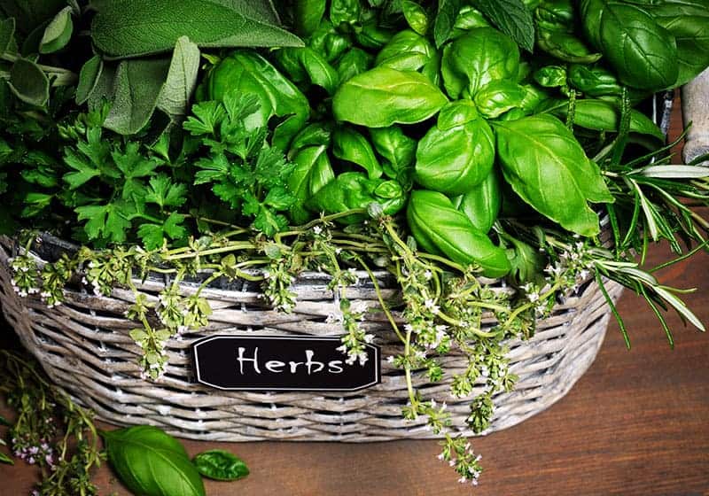 Grow Herbs in Basket Cases