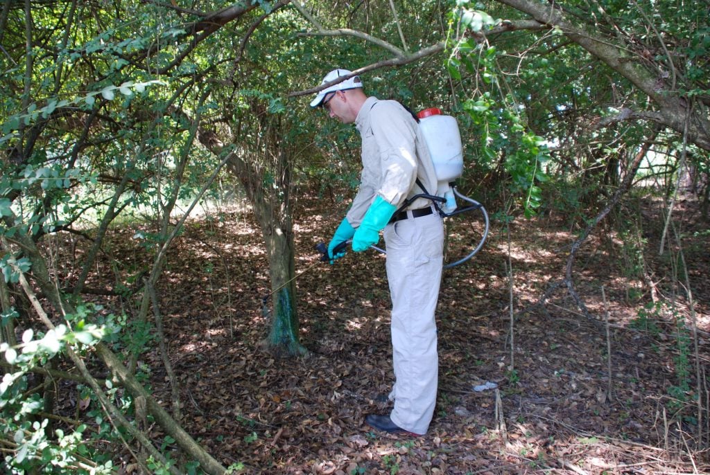 Herbicide Treatment