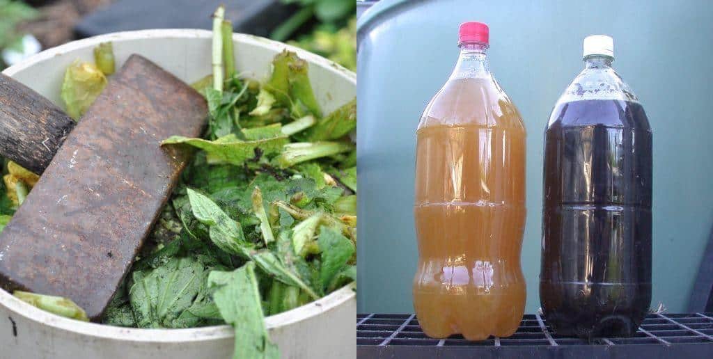 How To Make Comfrey Tea Fertilizer