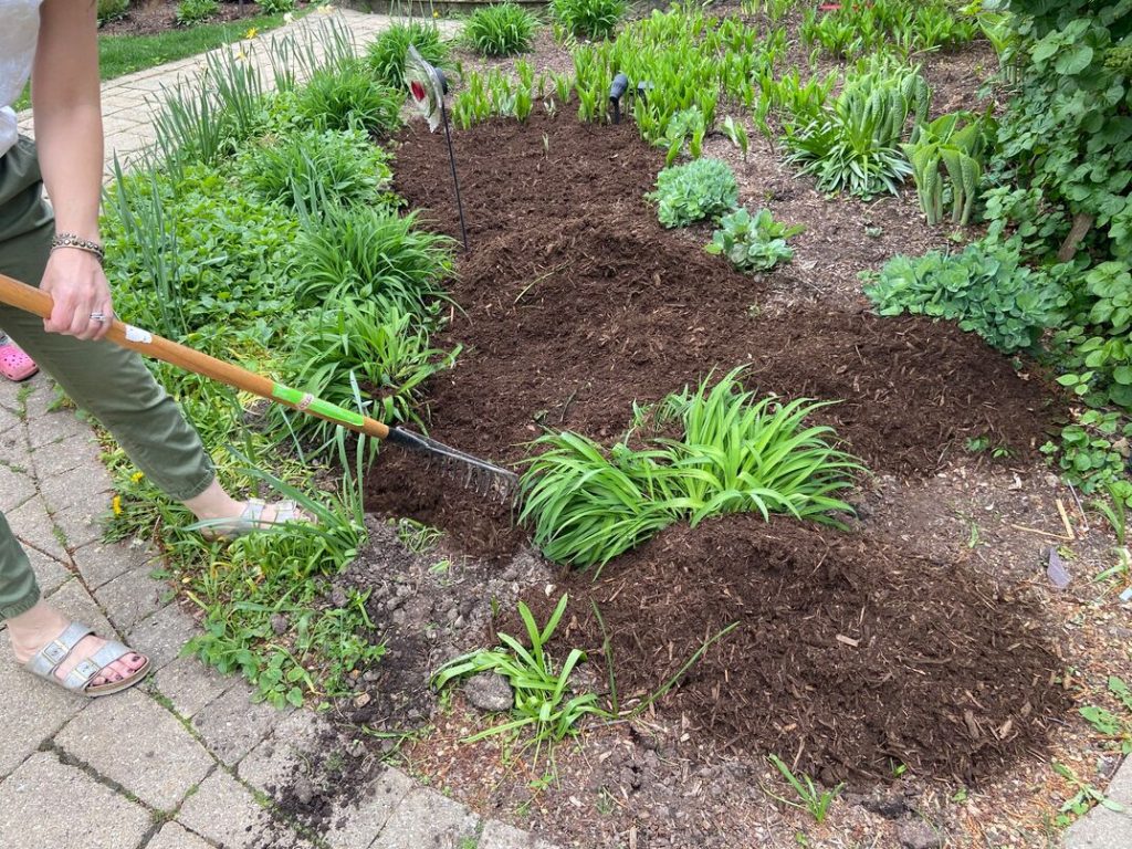 How to Apply Mulch in Your Garden Effectively