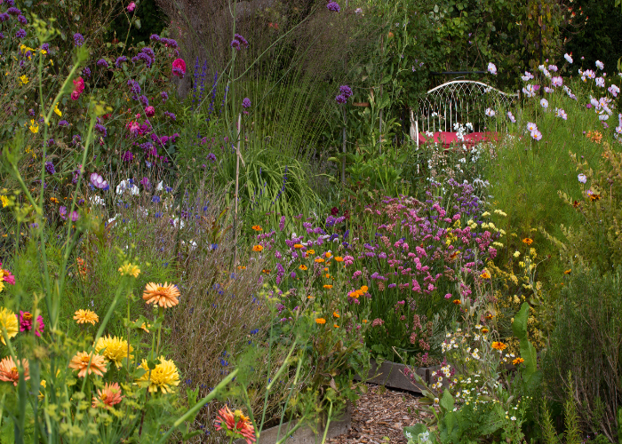 How to Create Better Wildlife Gardens