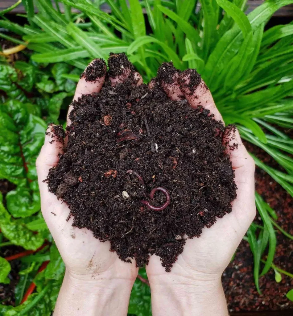 How to Define Compost