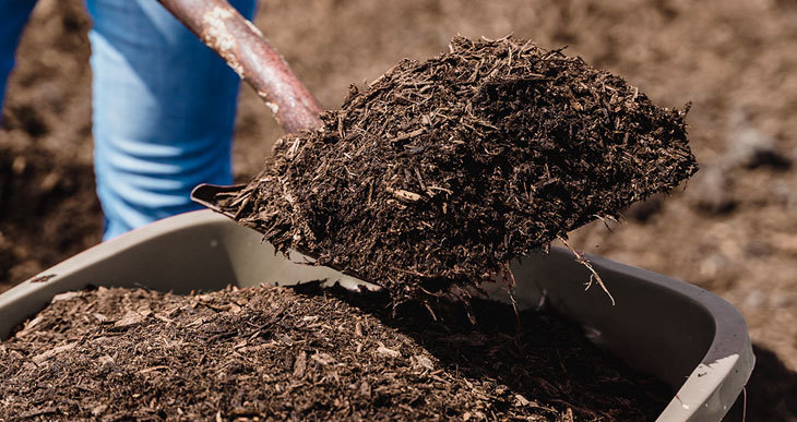 How to Improve Clayey Soil