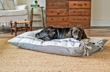 How to Make Your Own Dog Bed Cover: It's Simple and Cheap to Do It Yourself