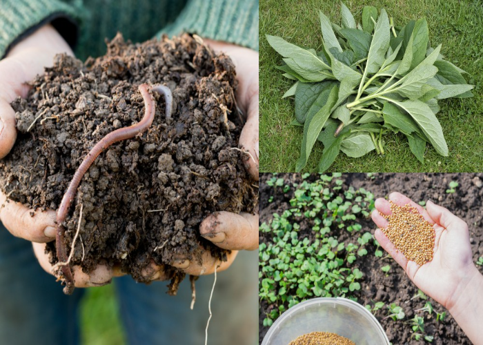 How to Naturally Enrich Soil with Nutrients