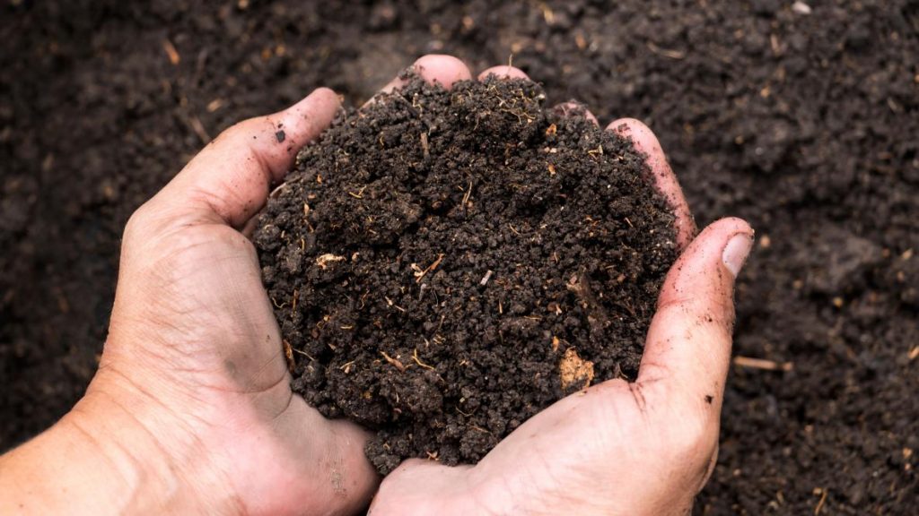 How to Prepare Soil