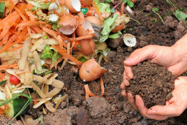 How to Start & Use a Compost Bin
