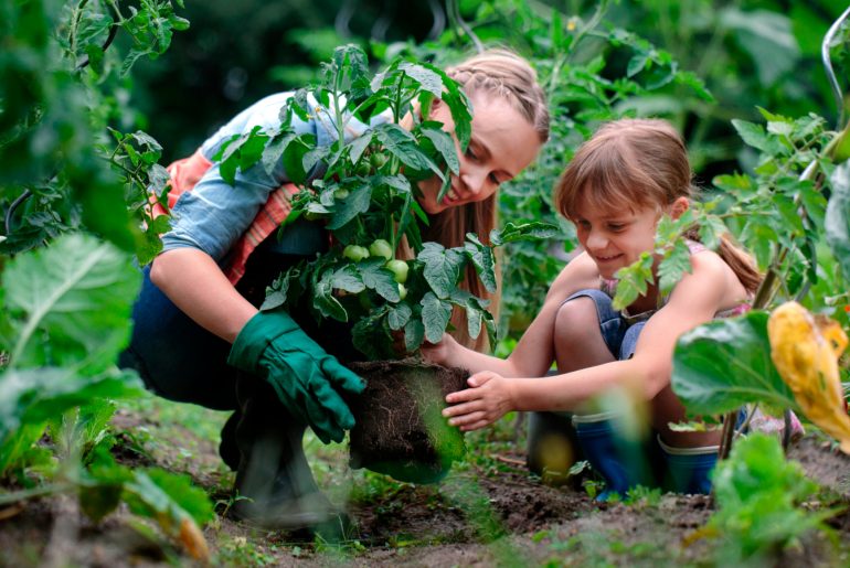 How to Compost for a Vegetable Garden