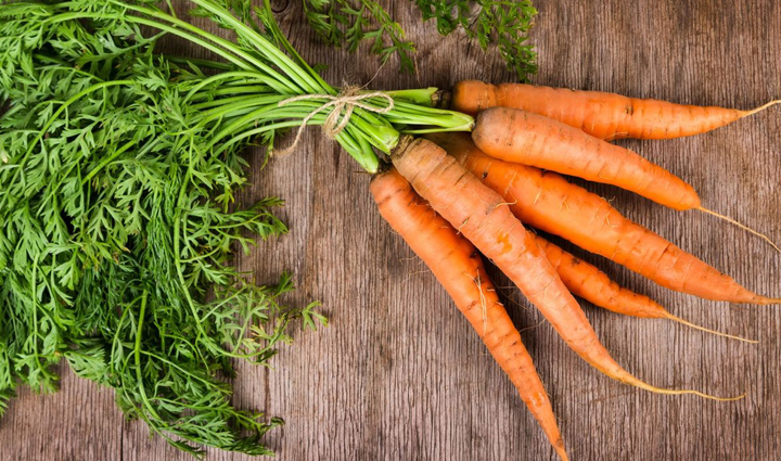Indicators of Carrot Maturity