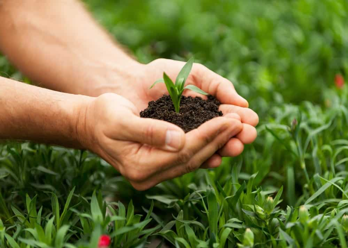 MONTH BY MONTH VEGETABLE PLANTING GUIDE UK visual data 5