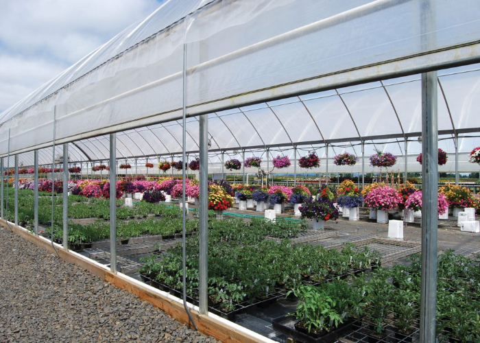 MONTH BY MONTH VEGETABLE PLANTING GUIDE UK visual data 7